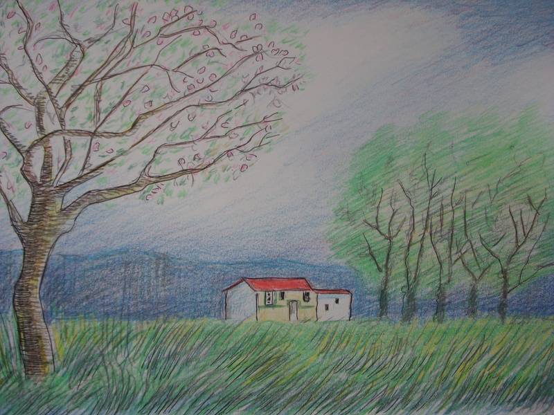 casa en el campo, Vidal Alcolea