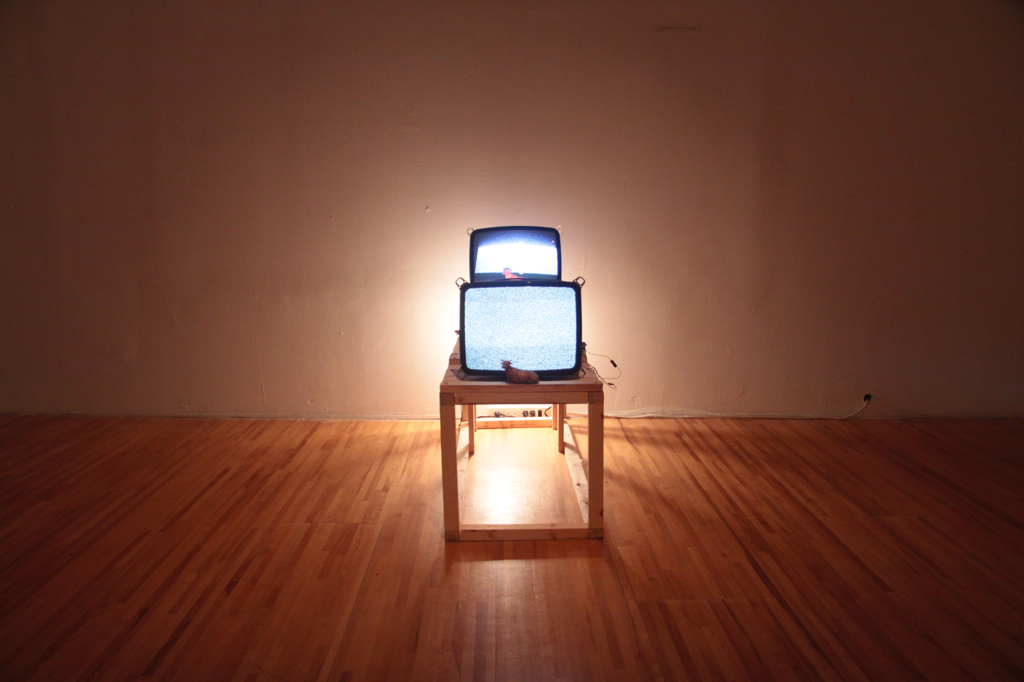 1.-Holy-Cow-Front-View