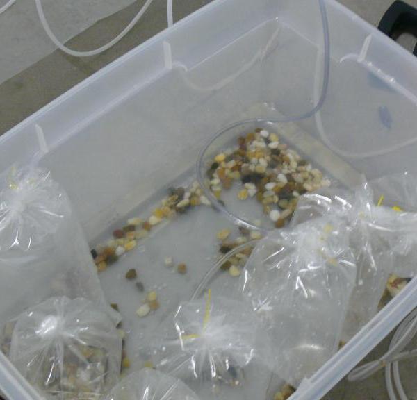 Image 28, The Bubble Project (Detail), Project X Installation Series, Naccarato, Montreal, QC, 2007