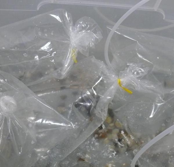 Image 16, The Bubble Project (Detail), Project X Installation Series, Naccarato, Montreal, QC, 2007