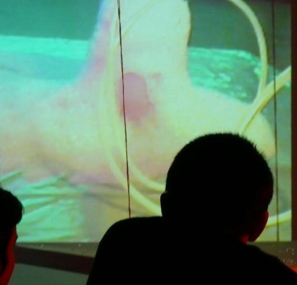 Image 01, The Bubble Project (Detail), Project X Installation Series, Naccarato, Montreal, QC, 2007