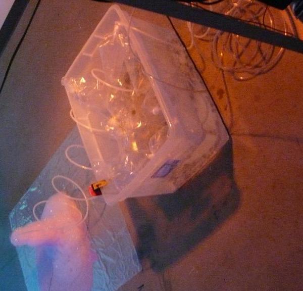 Image 13, The Bubble Project (Detail), Project X Installation Series, Naccarato, Montreal, QC, 2007