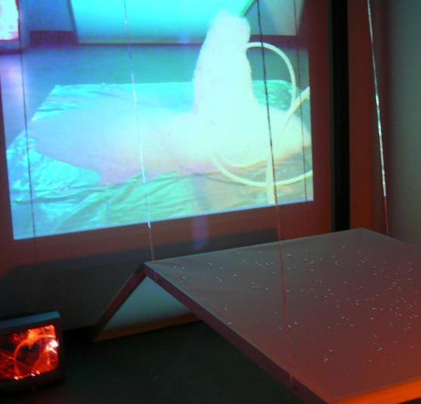 Image 03, The Bubble Project (Detail), Project X Installation Series, Naccarato, Montreal, QC, 2007