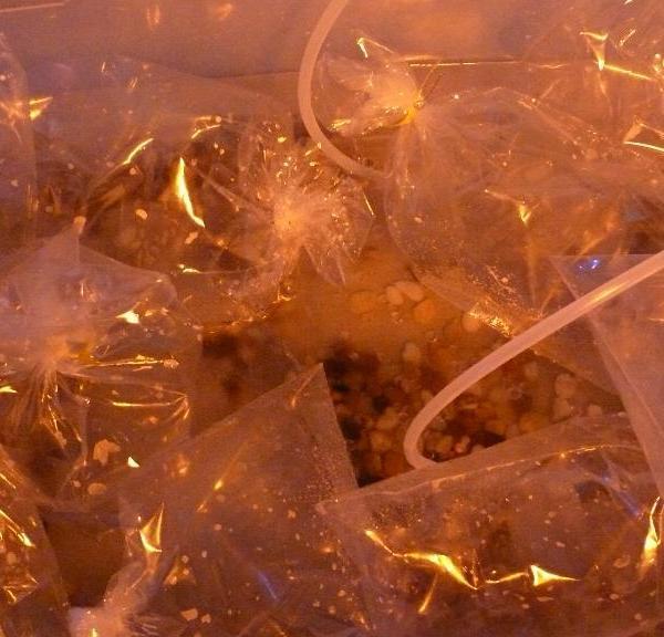 Image 12, The Bubble Project (Detail), Project X Installation Series, Naccarato, Montreal, QC, 2007