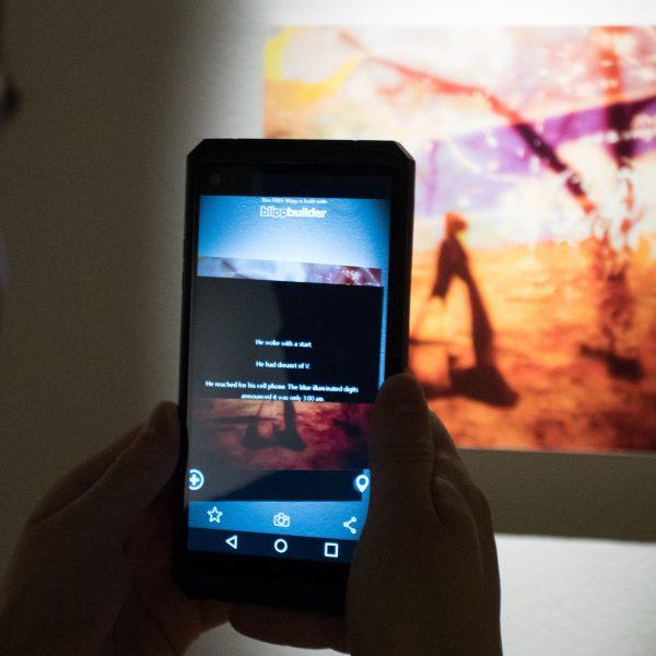 Day for Night Exhibit, Image 09, Naccarato, 2017