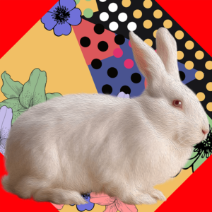white.Rabbit, day 03 (pOP), NFT / Print series, naccarato, 2021