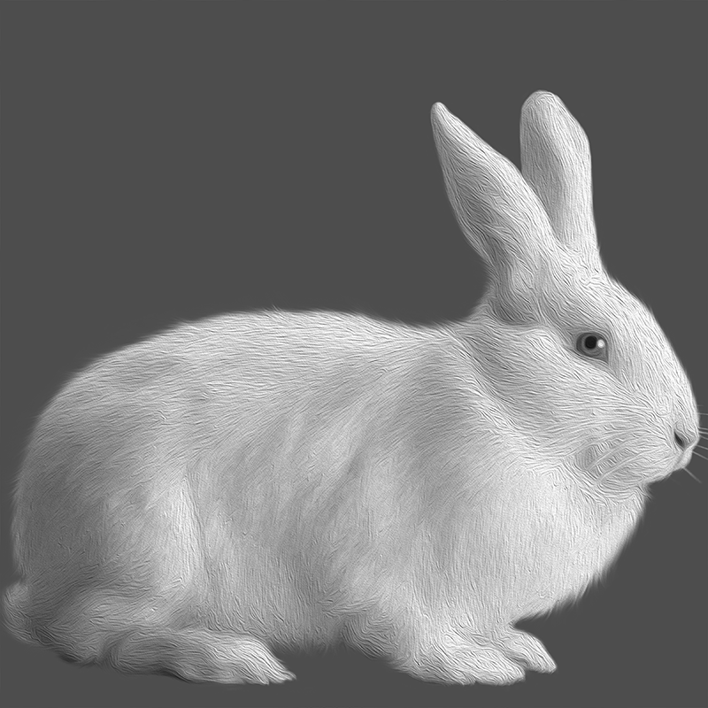 white.Rabbit, day 01 (gray Matter), NFT / Print series, naccarato, 2021