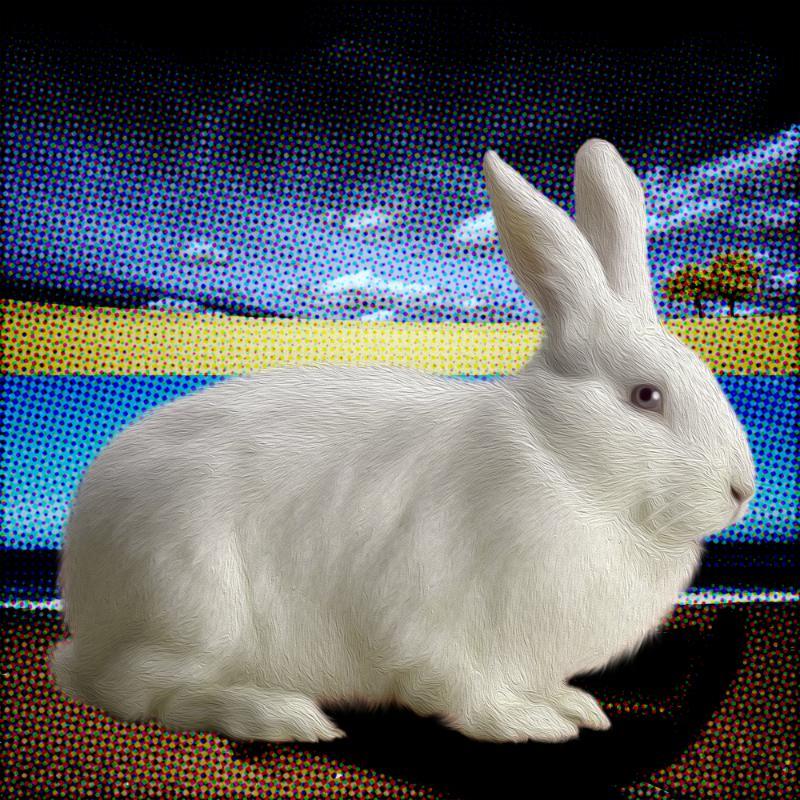 white.Rabbit, day 12(altered States), NFT / Print series, naccarato, 2021