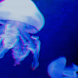 Prometheus, NFT, naccarato, 2022