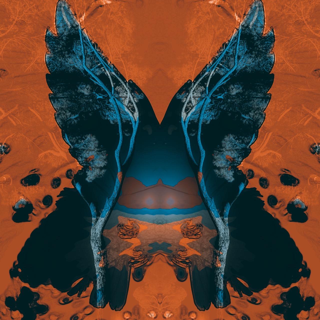 the Butterfly (effect): NFT Series / 2022