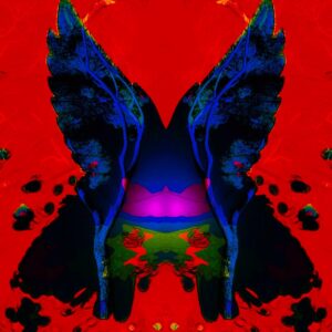 the Butterfly Effect 02, NFTs, John Naccarato, 2022, @ rariable