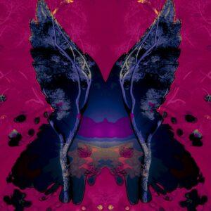 the Butterfly Effect 03, NFTs, John Naccarato, 2022, @ rariable