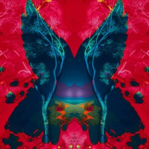 the Butterfly Effect 05, NFTs, John Naccarato, 2022, @ rariable