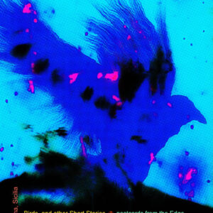 ❧ Birds. and other Short Stories, Postcards from the Edge, Limited Edition Print and Postcard Series, Naccarato, 2024