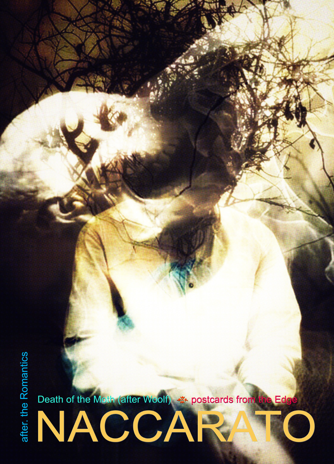 ❧ Death of a Moth ∴ after Wolfe, Postcards from the Edge, Limited Edition Series, numbered and signed by artist, Naccarato, 2024