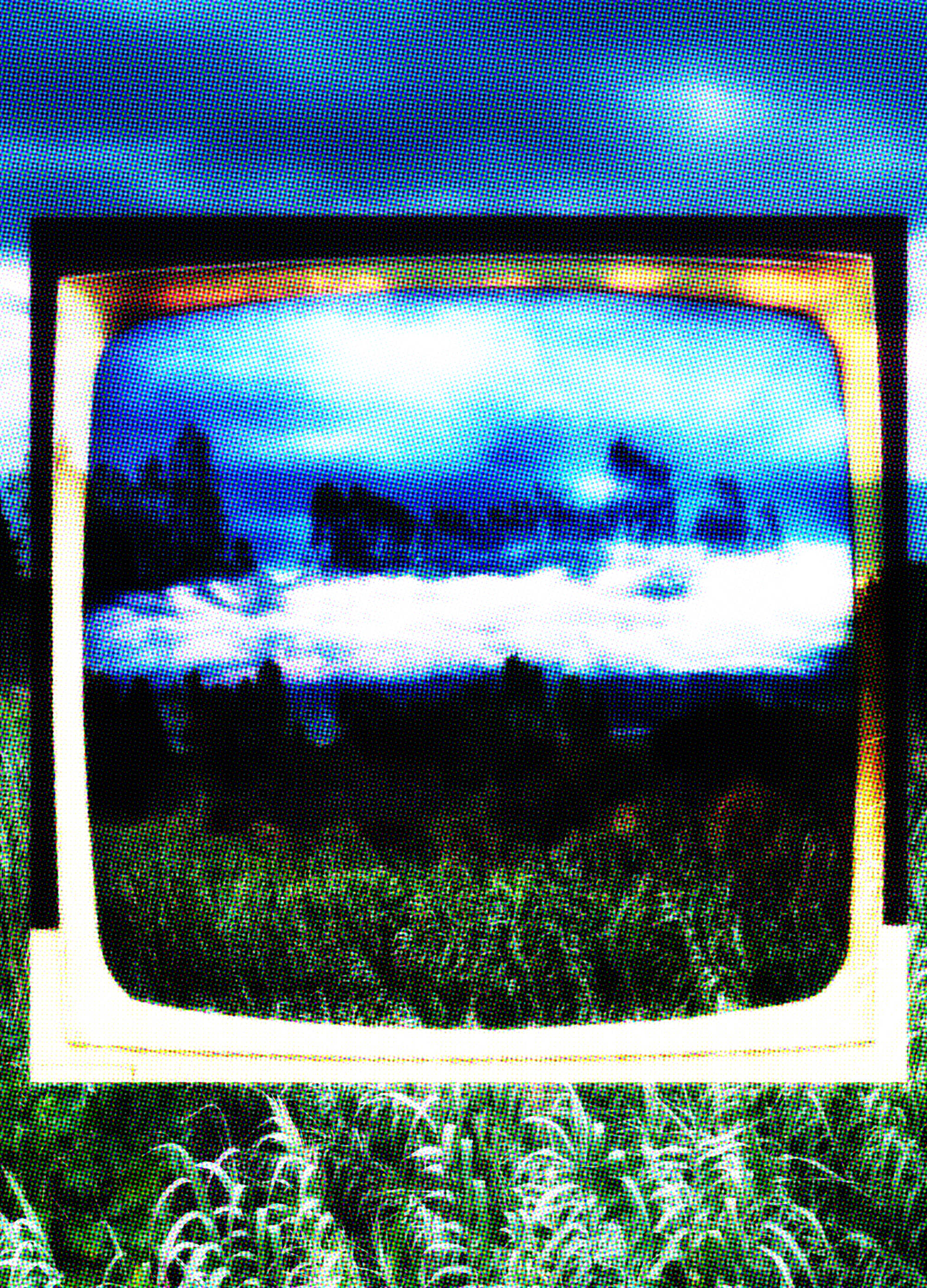 Perception, naccarato, 2024