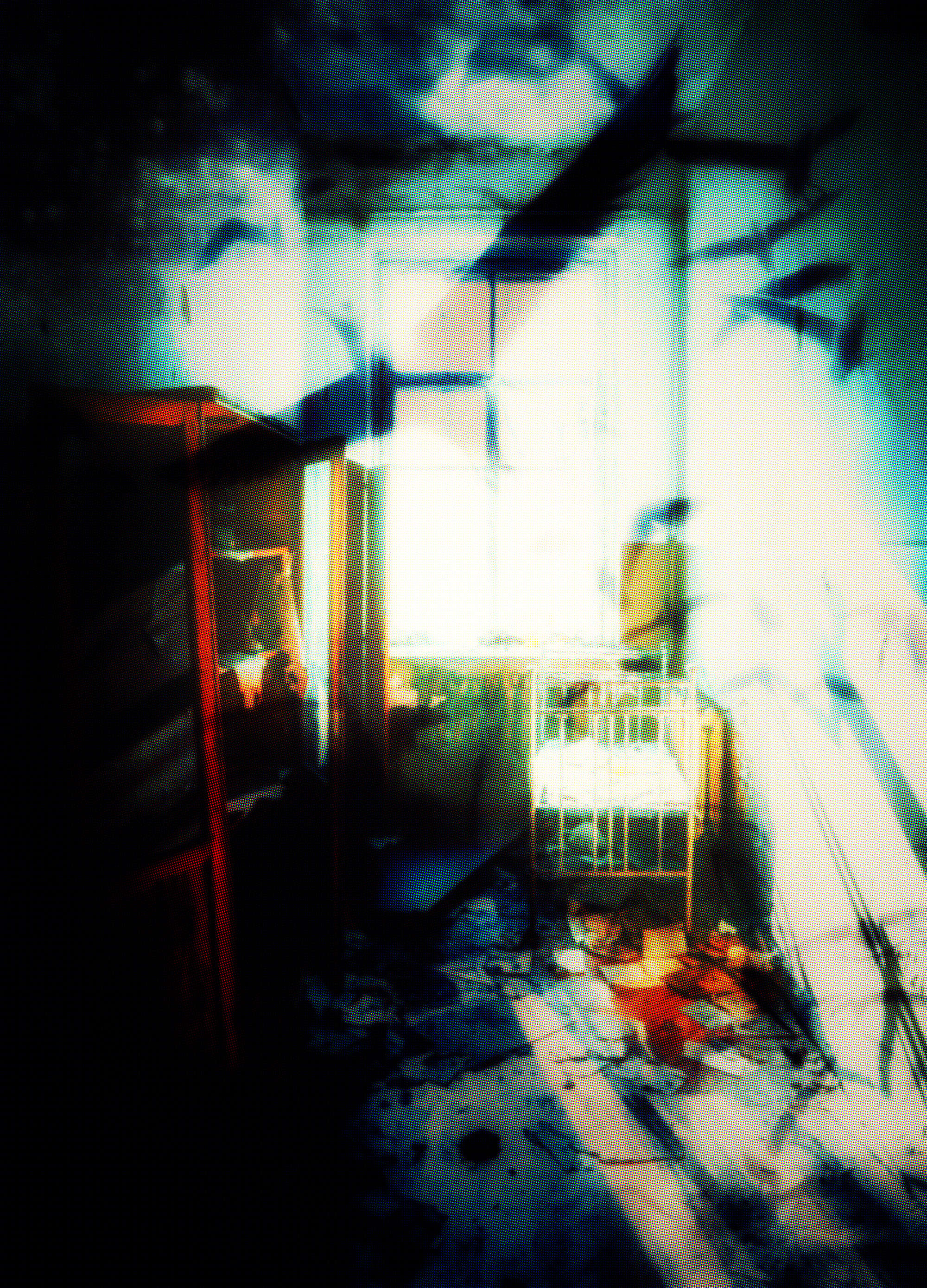 ❧ birds. and other short stories (part 2), naccarato, 2024