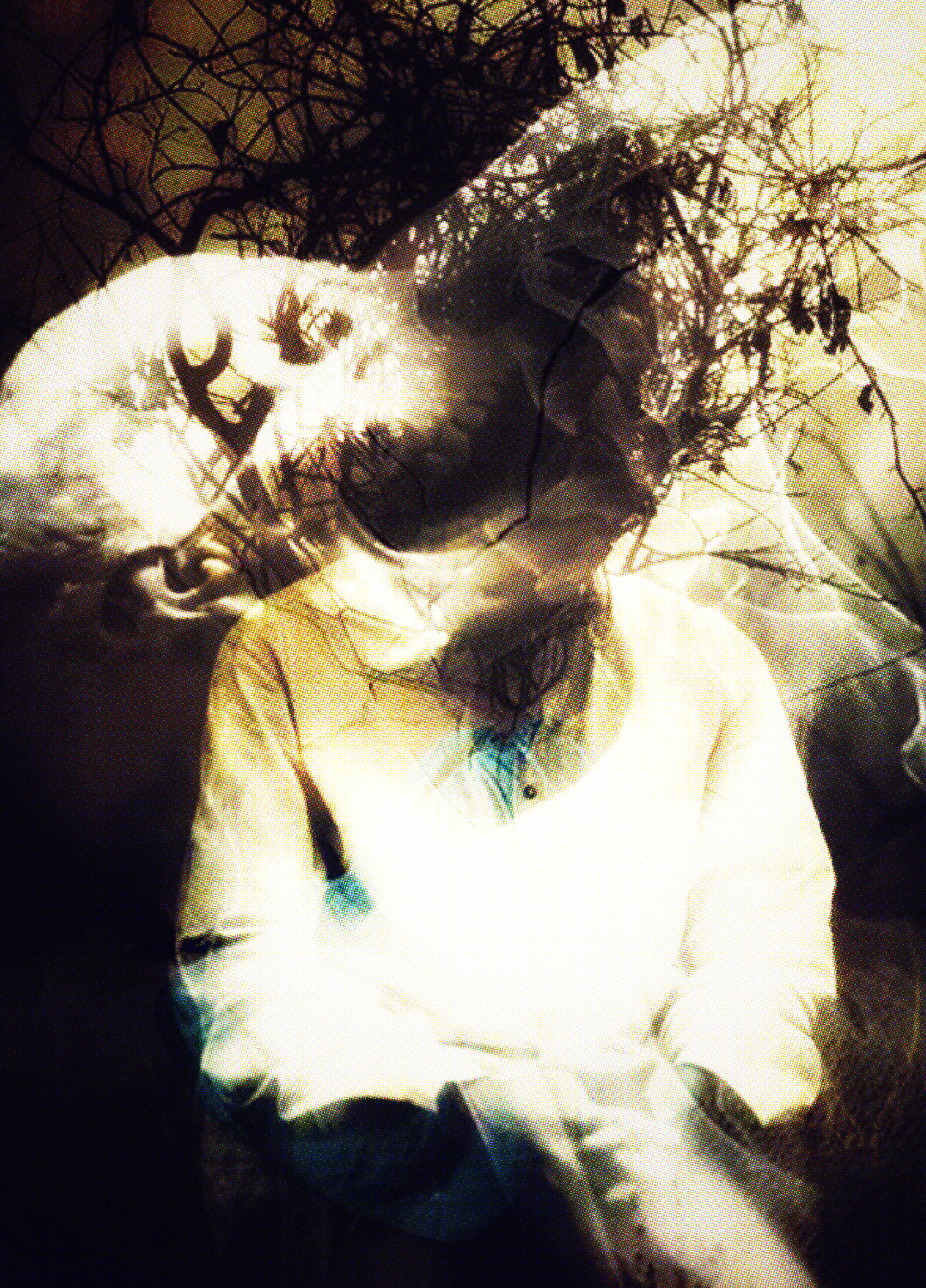 ❧ death of a Moth (after Wolfe), naccarato, 2024