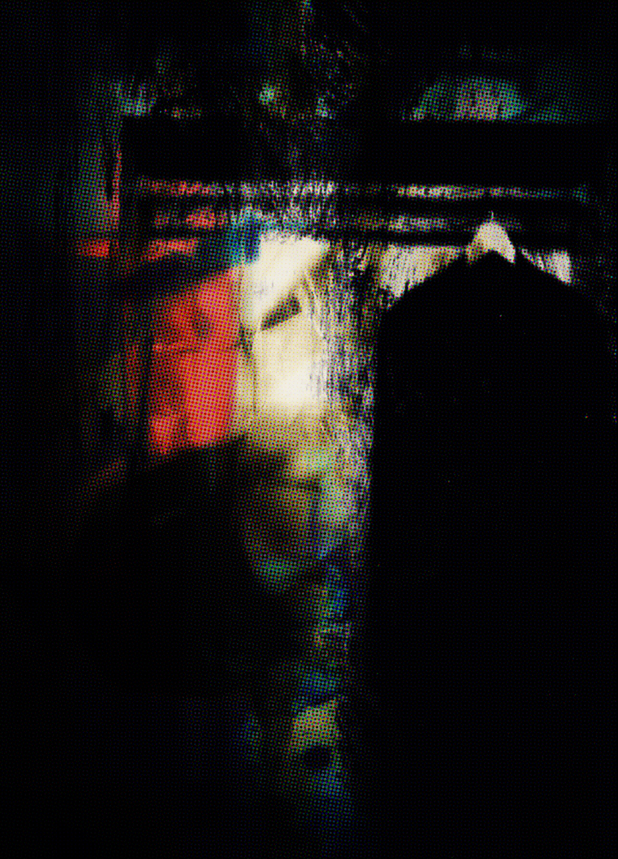 ❧ the Calling, naccarato, 2024