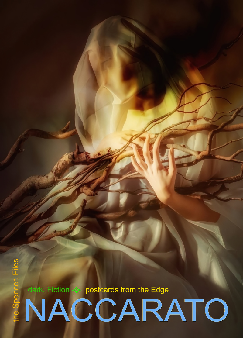 ❧ dark. Fiction, Postcards from the Edge, Limited Edition Print and Postcard Series, Naccarato, 2024-2026