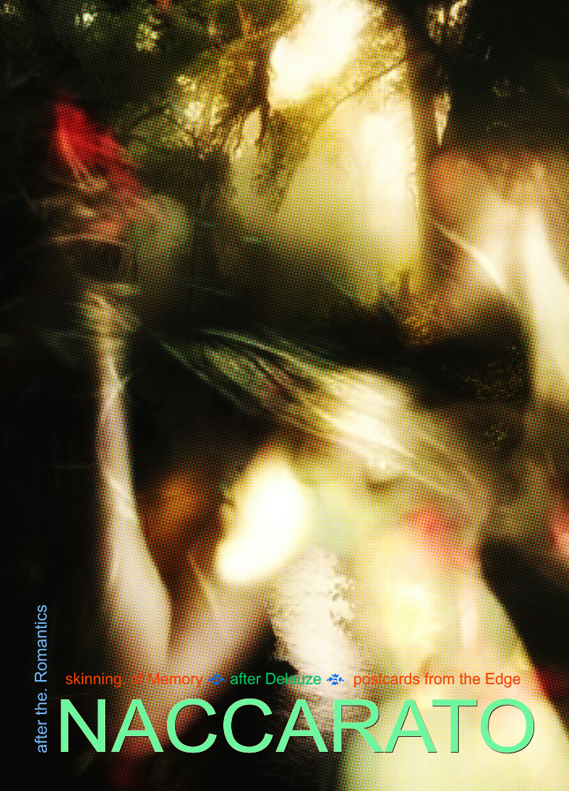 ❧ skinning. of Memory, after Deleuze, Postcards from the Edge, Limited Edition Print and Postcard Series, Naccarato, 2024-2026