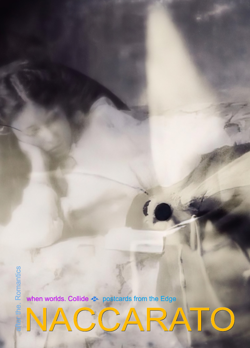 ❧ when worlds. Collide, Postcards from the Edge, Limited Edition Print and Postcard Series, Naccarato, 2024